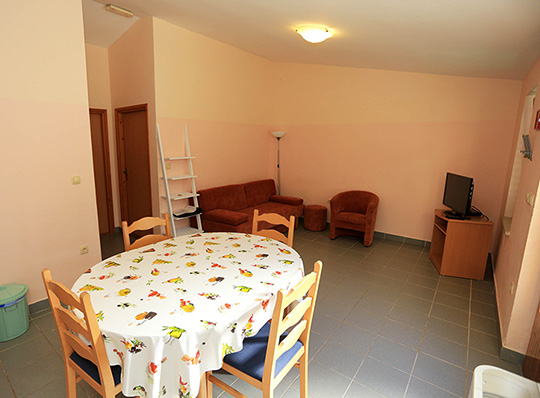 Apartment Skrpina